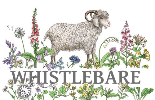 Whistlebare Logo