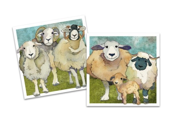Felted sheep notecards - Emma ball
